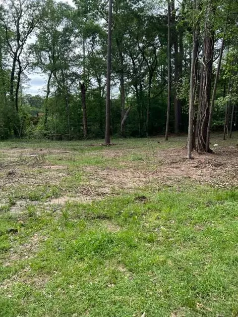 Conroe, TX 77304,Lot 32 La Salle Park