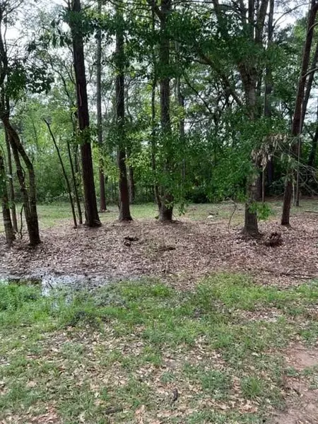 Lot 32 La Salle Park, Conroe, TX 77304