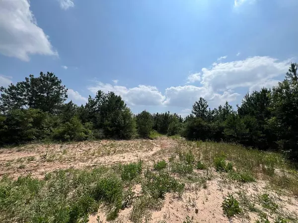 Tract 3 SH 249, Navasota, TX 77868