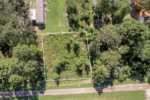 Point Blank, TX 77364,Lot 390-391 Willow Oak LN