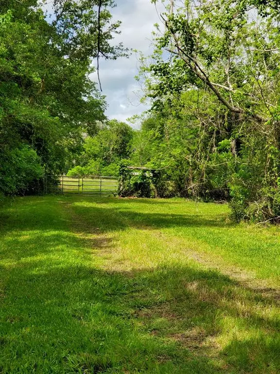 Brazoria, TX 77422,0 County Road 461 Off Nar