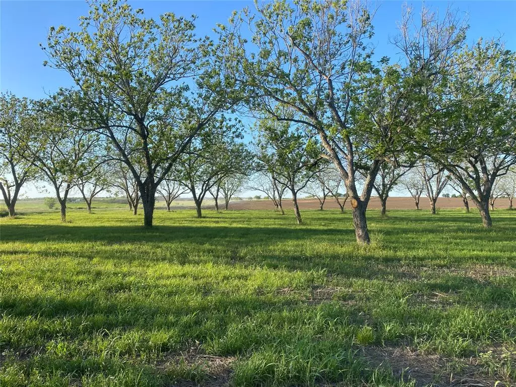 Gonzales, TX 78629,TBD County Road 473 Riverwood Road