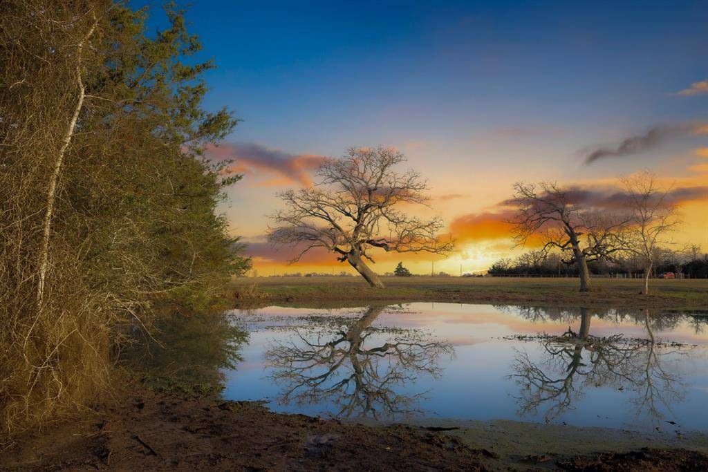 10616 County Road 410, Somerville, TX 77879