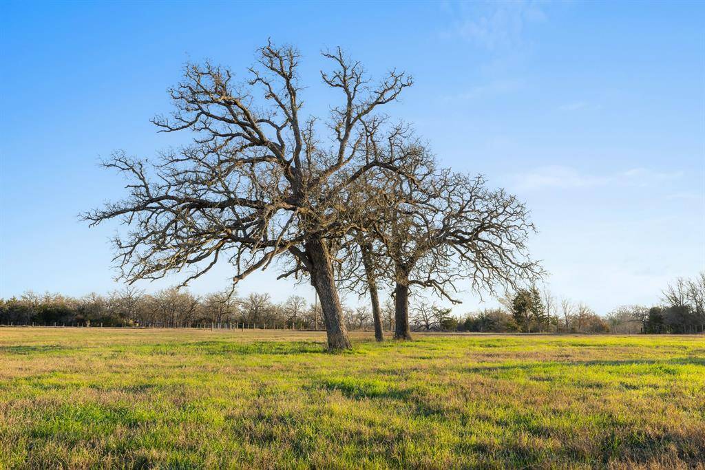 Somerville, TX 77879,10616 County Road 410
