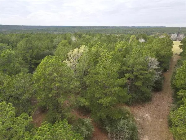 TBD County Road 3260, Colmesneil, TX 75938