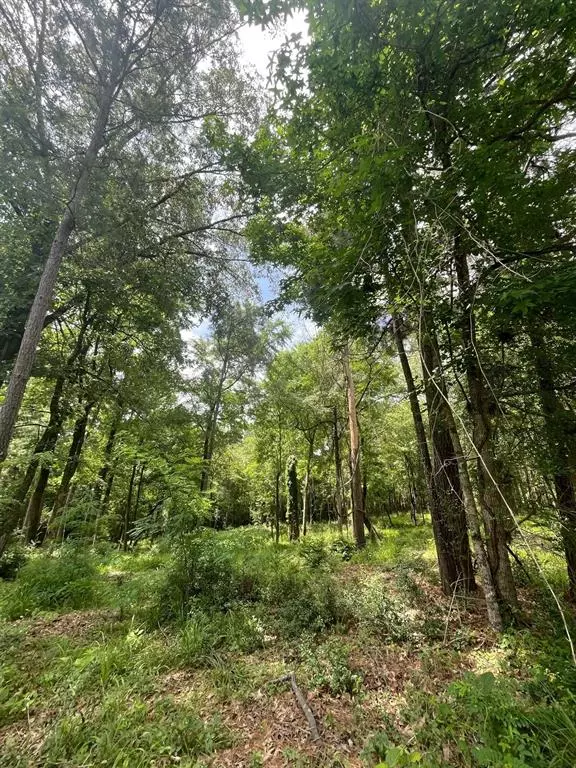 Huntsville, TX 77320,Lot 38 Venice WAY