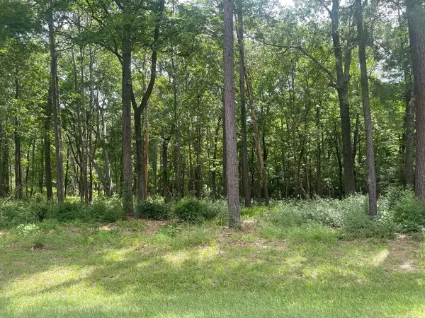 Huntsville, TX 77320,Lot 38 Venice WAY