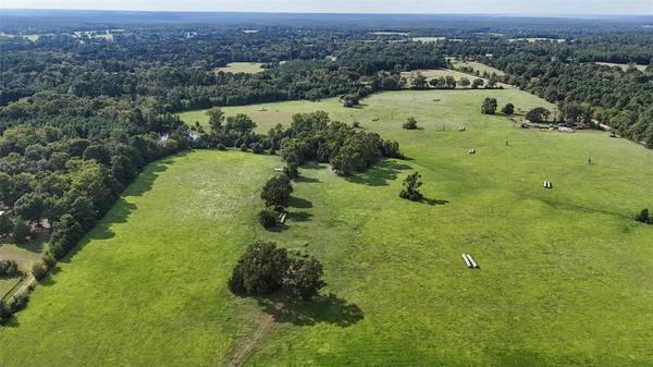 Grapeland, TX 75844,00 County Road 1640