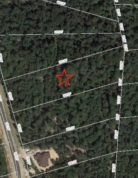 7 Fire Sky RD, Huntsville, TX 77340