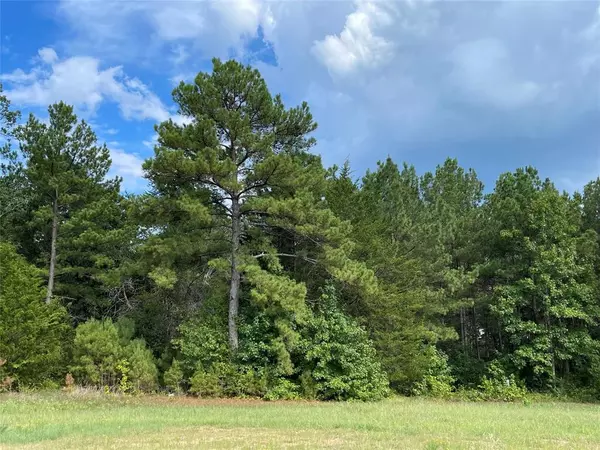 Willis, TX 77378,15851 Wooded Trail WAY