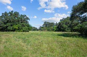 TBD LOT 12 Legacy CT, Columbus, TX 78934