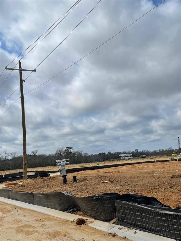 Willis, TX 77318,12031 Curlin DR