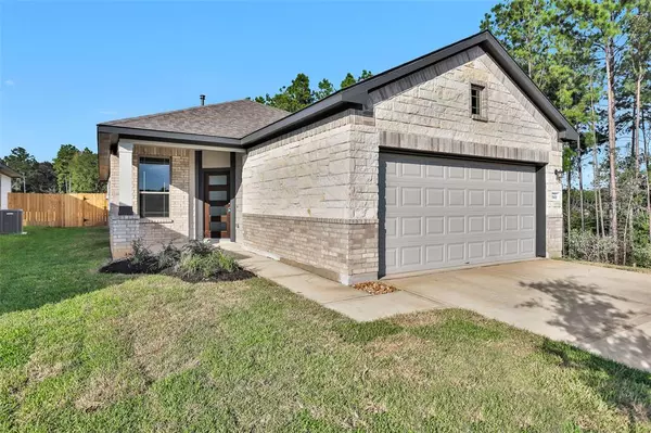 25410 Blue Mistflower DR, Montgomery, TX 77316