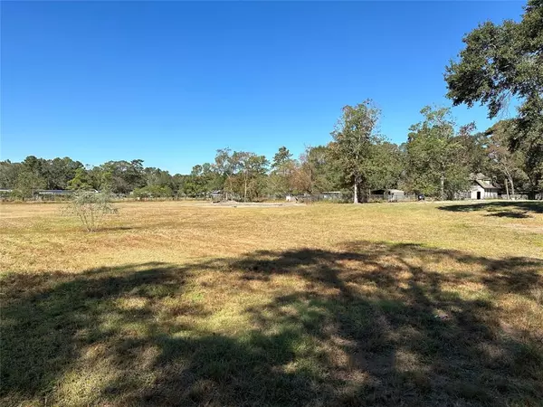 New Caney, TX 77357,22633 Dog Run