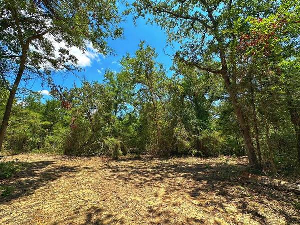 5 ac CR 302, Buffalo, TX 75831