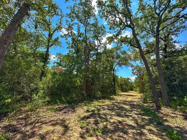 Buffalo, TX 75831,5 ac CR 302