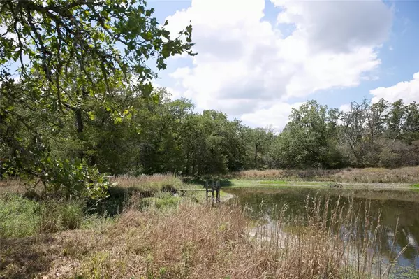 Carmine, TX 78932,3685 Nixon Lake RD