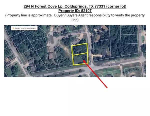 294 N Forest Cove LOOP, Coldspring, TX 77331