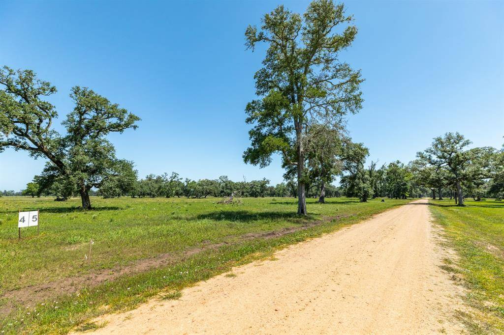 Van Vleck, TX 77482,455 Valley Oaks DR