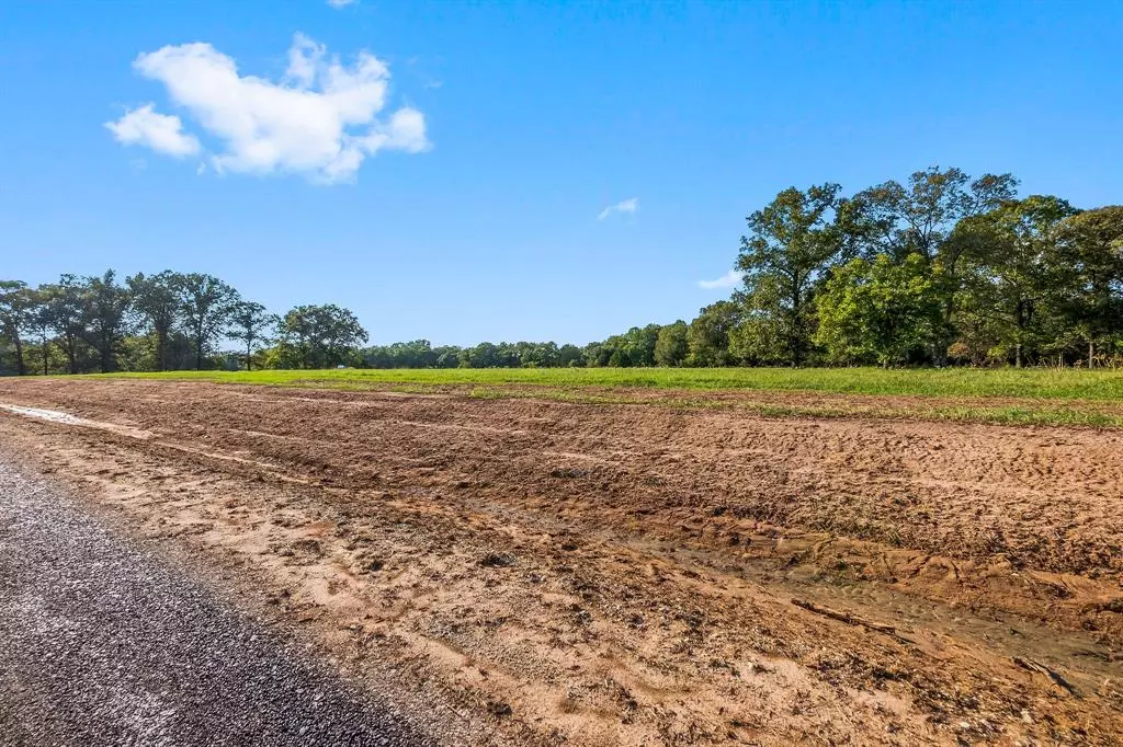 New Waverly, TX 77358,Lot 8 Alans Memorial Lane