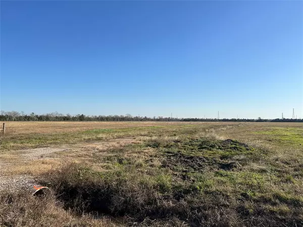 Algoa, TX 77511,Lot 17 Rymal Ranch Road