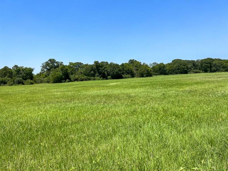 07B Private Road off County Road 3625A, Lovelady, TX 75851