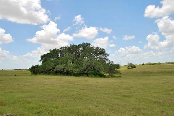 4110 County Road 256, Moulton, TX 77975