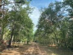 LOT 44 OWL DR, Hempstead, TX 77445