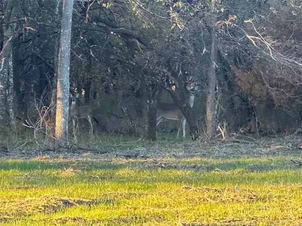 Corsicana, TX 75109,Lot 28 Grison CIR