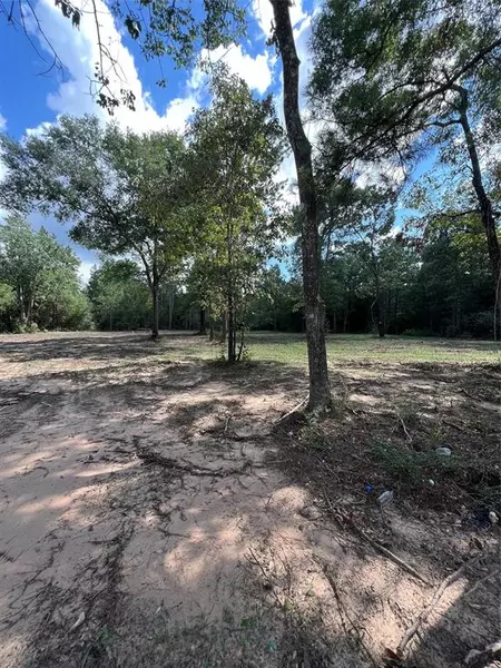 TBD Lot 2 Deerwood DR, Plantersville, TX 77363