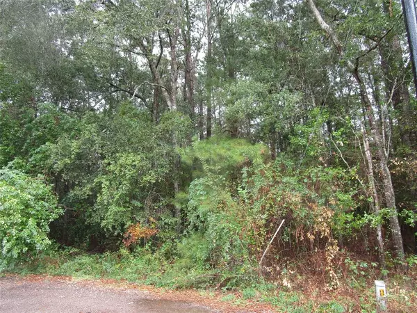 New Caney, TX 77357,Lot 9 Stevens Forest