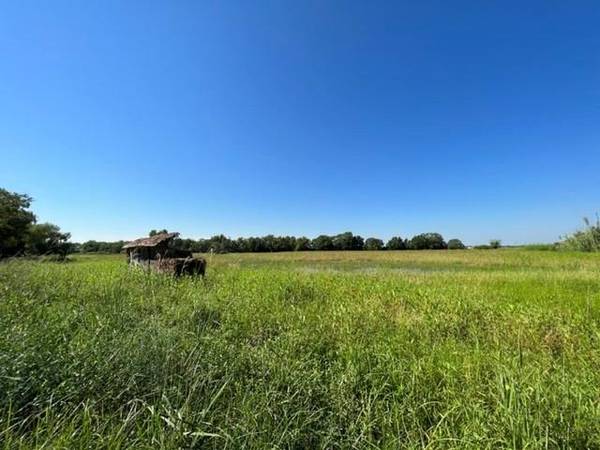 Eagle Lake, TX 77434,0037 Eagle Lake