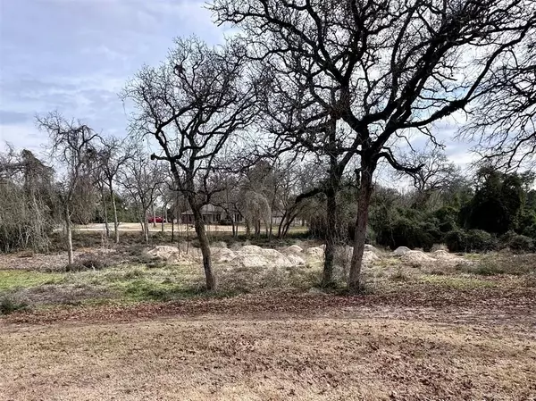 Hilltop Lakes, TX 77871,TBD Arnold Palmer