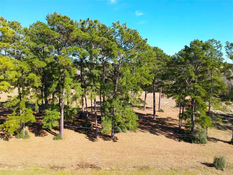 TBD Lakeland Ranch Lot 378, Hillister, TX 77624