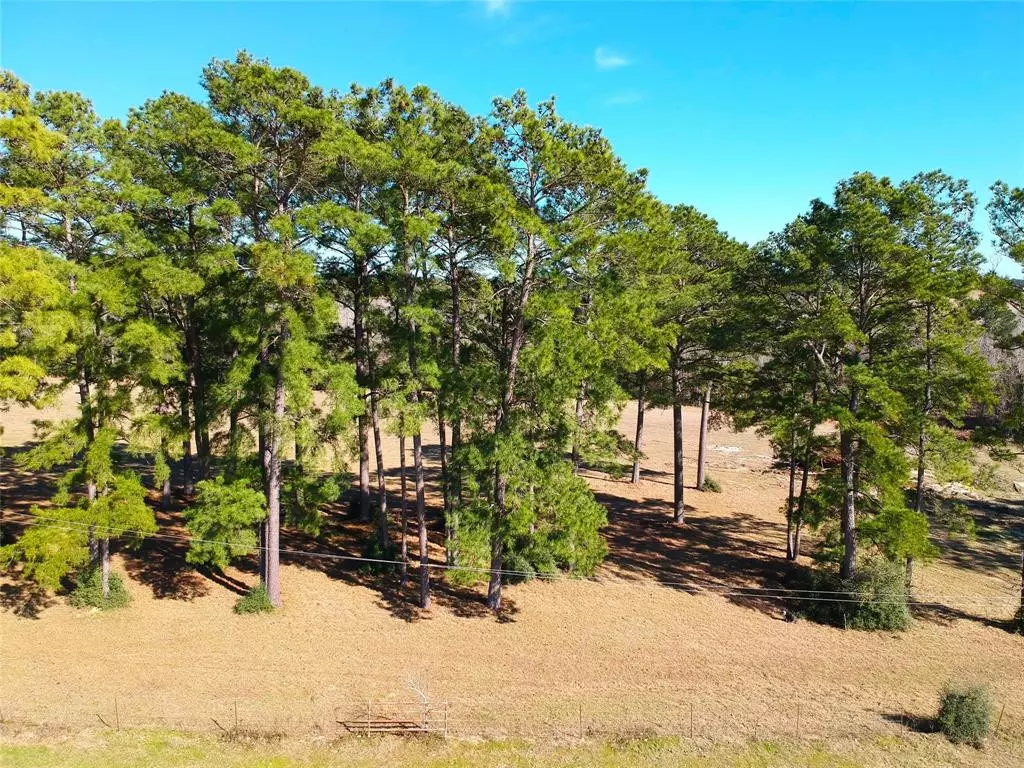 Hillister, TX 77624,TBD Lakeland Ranch Lot 378