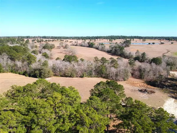 Hillister, TX 77624,TBD Lakeland Ranch Lot 378