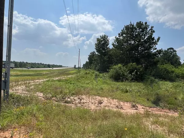 Tract 4 SH 249, Navasota, TX 77868