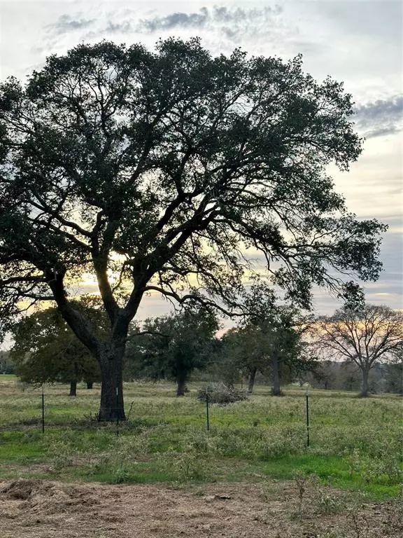 Waelder, TX 78959,TBD E US Hwy 90