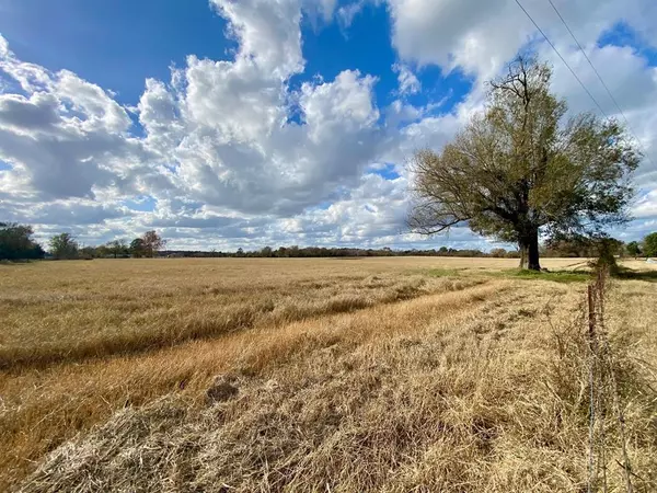 Crockett, TX 75835,T B D CR 3095/Cooper Settlement Road