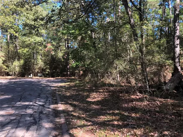 Huntsville, TX 77320,Lot 9 Rohm PL