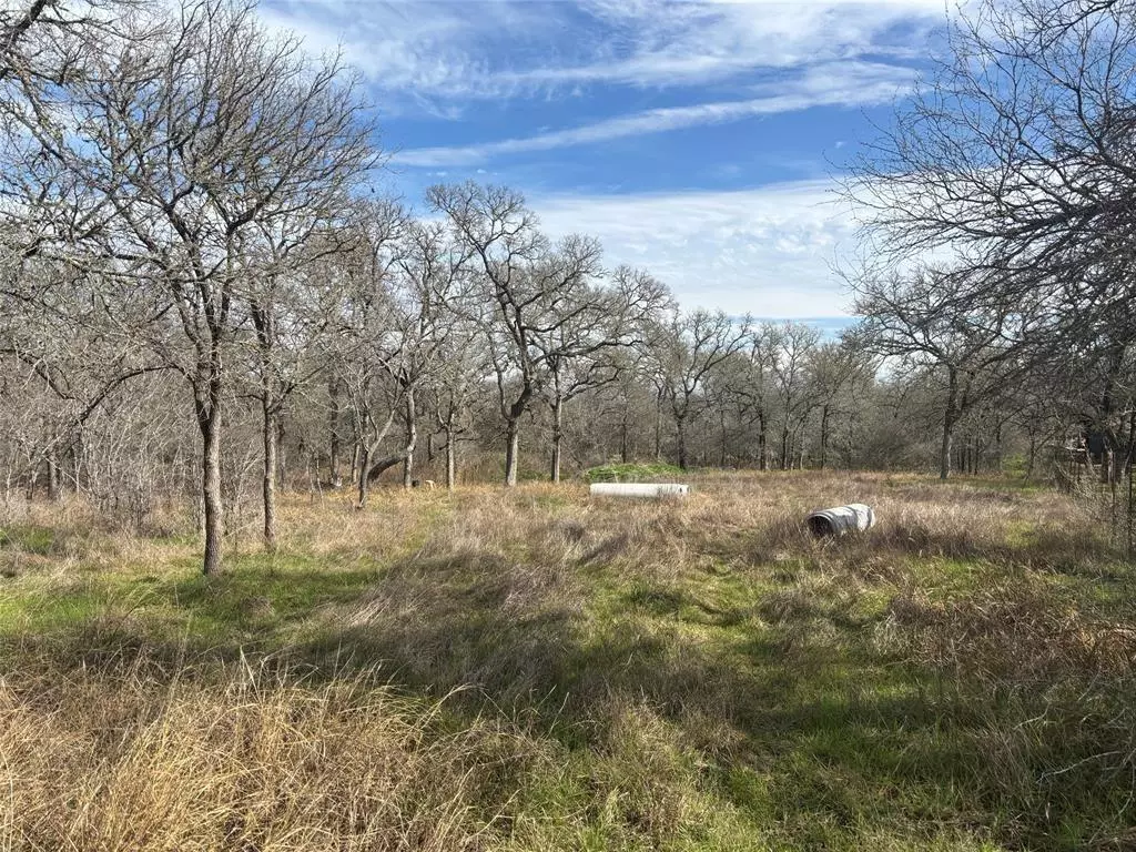 Cedar Creek, TX 78612,245 Elm Forest LOOP