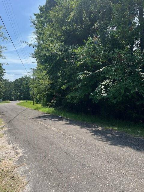 Livingston, TX 77351,Lot 13 & 14 Big Lake DR