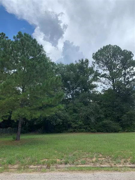 Lot 2 Spring Hill DR, Livingston, TX 77351