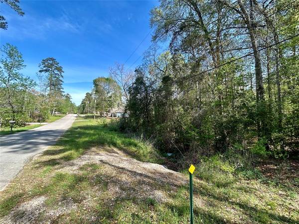 Lot 77-B Royal Lake DR, Conroe, TX 77303