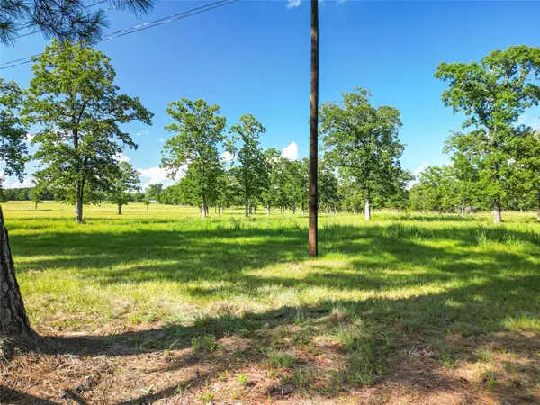 Trinity, TX 75862,0000 State Highway 19 N 20 Acres