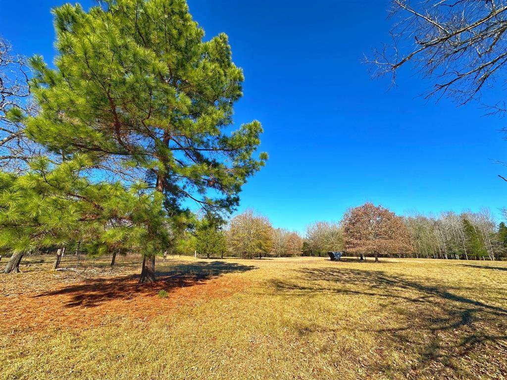 Oakwood, TX 75855,610 FCR 301
