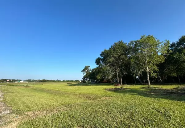 0 Oak Island Drive, Anahuac, TX 77514