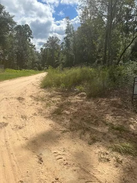 Livingston, TX 77351,LOT 64 N George Jones RD