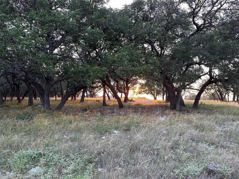 Lot 222 Blackbuck Ridge DR, Lampasas, TX 76550