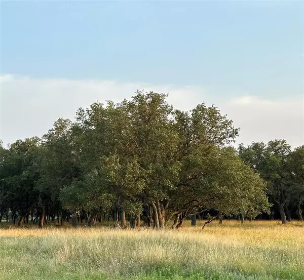 Lampasas, TX 76550,Lot 222 Blackbuck Ridge DR